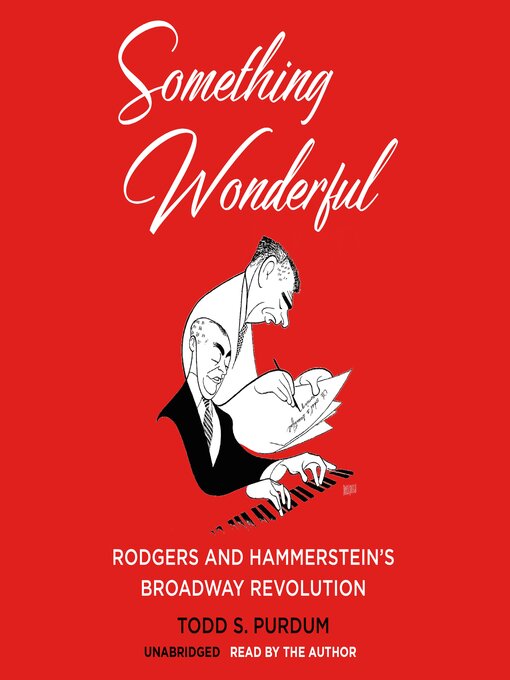 Cover image for Something Wonderful